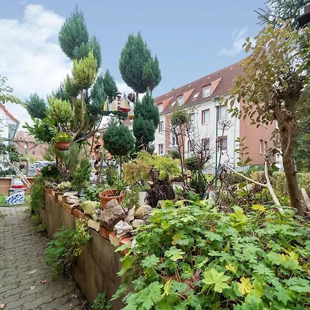 Apartmán Charmante In Mit Garten Wißmar